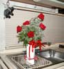 Vern's roses .. i bungee'ed them to the sink drainer so that they'd ride without spilling!