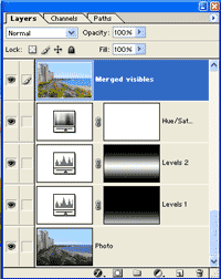 Merged Visibles layer