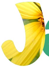 yellow flower pasted into J