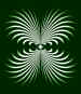 fronds2.jpg (61968 bytes)