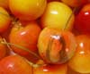 Life is a bowl of cherries! I used this for my bio photo for "Trade Secrets."