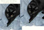 demon-eyes can really wreck a photo!