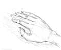 hand 2 -- drawn on computer in photoshop