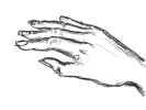 hand 1 -- drawn on computer