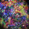 colored foil