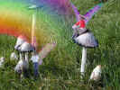 Fairy vacation photo.