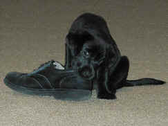 Maddy 8/29/01
