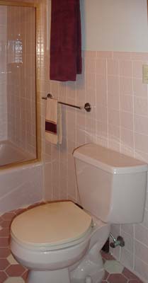 Guest Bath