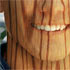 Give a face a different texture. Here, we make a wooden man!