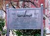 DSCN6374