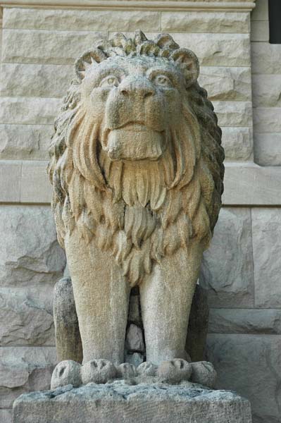lion0751