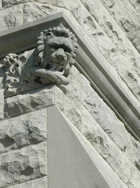 lion0758