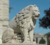lion0746