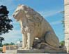 lion0747