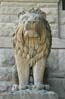 lion0751