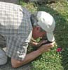 michaelflower0205