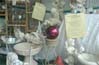gardendecor0011