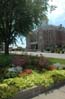 garden0383