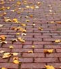 DSCN6336