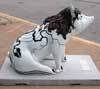 The town had a pig decorating contest. These were on display at every corner!