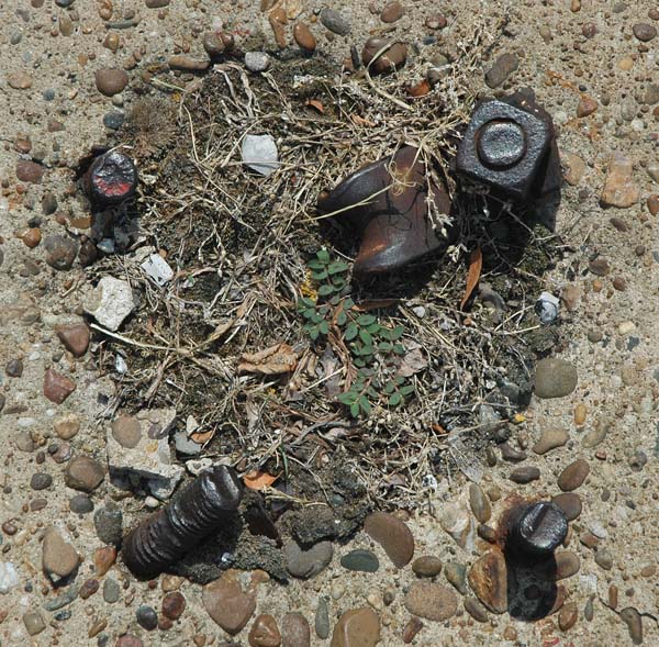 inthesidewalk0402