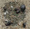 inthesidewalk0402