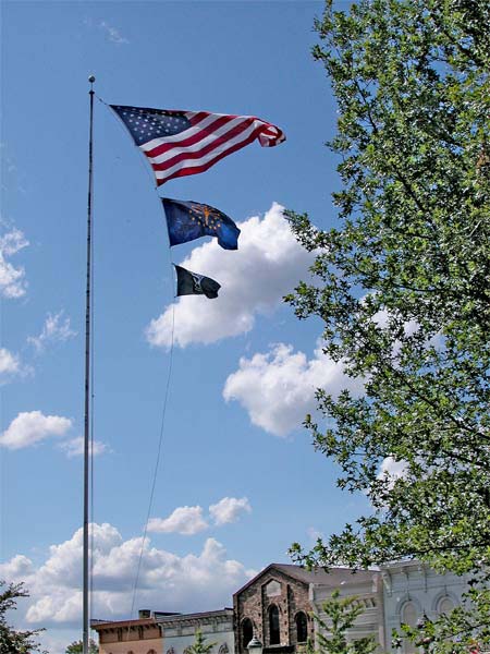 flagsaflyin7222