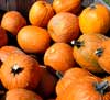 pumpkins