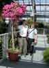 Michael and Becky admiring Bougainvillea at WRG