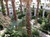 inside the conservatory at the White River Gardens