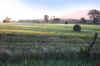 hay bales.. August 2001