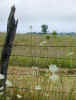 going to rain