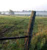 fence