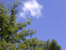 bluesky.jpg (49866 bytes)
