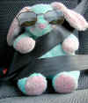 bunny
