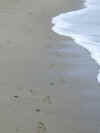 footprints
