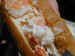 lobster roll