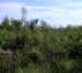 along the roadside.. a view of the beautiful day that was going on around us as we waited for help with our tire.