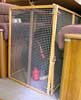 Maddy ready to ride in the under-dinette cage that i made.