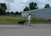 Janee walking Maddy at noon