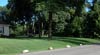 winner of the "Vern award"  for greenest prettiest grass (after Janee's stepdad, who was a lawn fanatic)