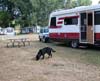Maddy at our campsite at Holiday Shores in Durand, Michigan, near Flint