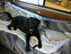 Maddy after her first attack of "the goonies" in the RV
