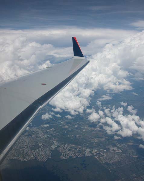 DSCN5979