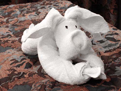 20towel6716