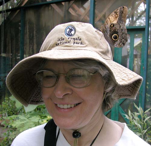 31butterflyhat6739