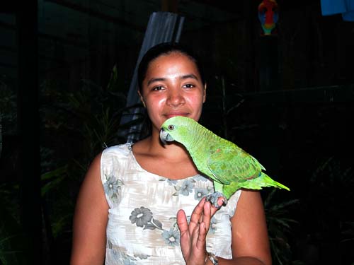 36karenparrot6751