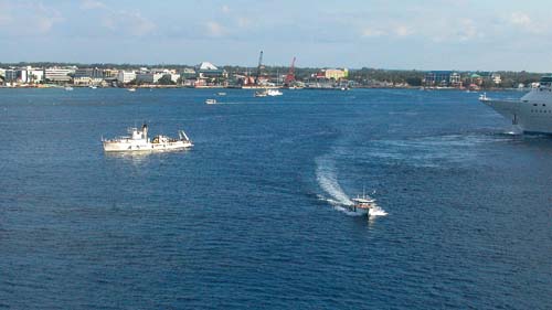 58caymantender6785