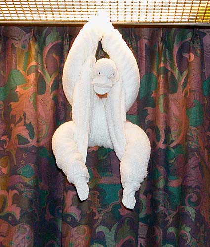 61towelmonkey6795