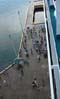 23dockroatan6728